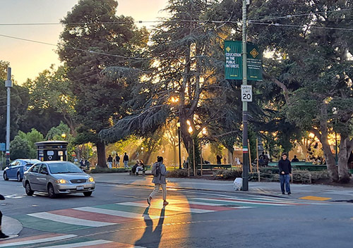 Tony's Pizza Napoletana has called San Francisco's beautiful Washington Square Park home for 15 years